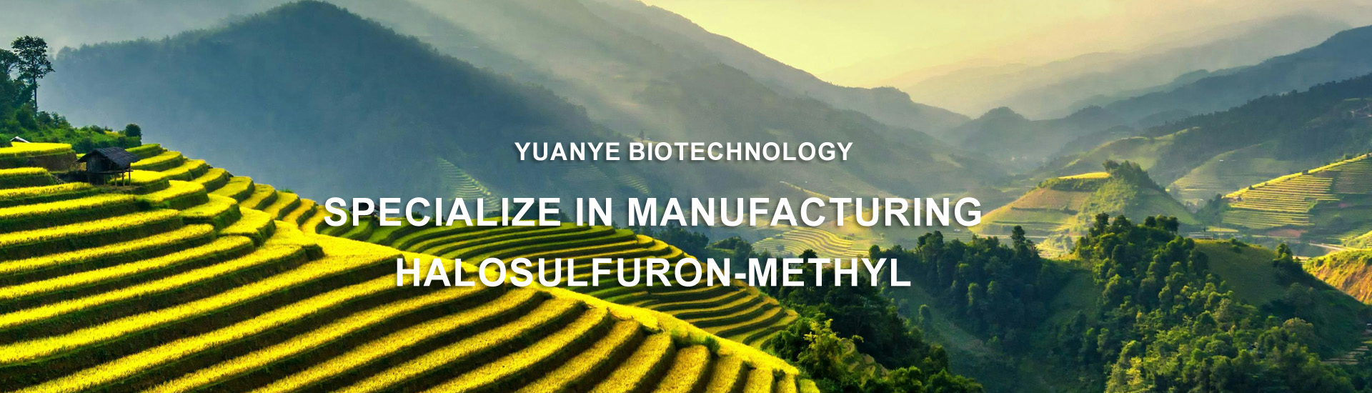 Weifang Yuanye Biotechnology Co., Ltd