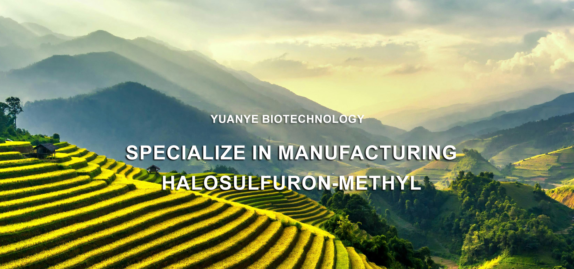 Weifang Yuanye Biotechnology Co., Ltd