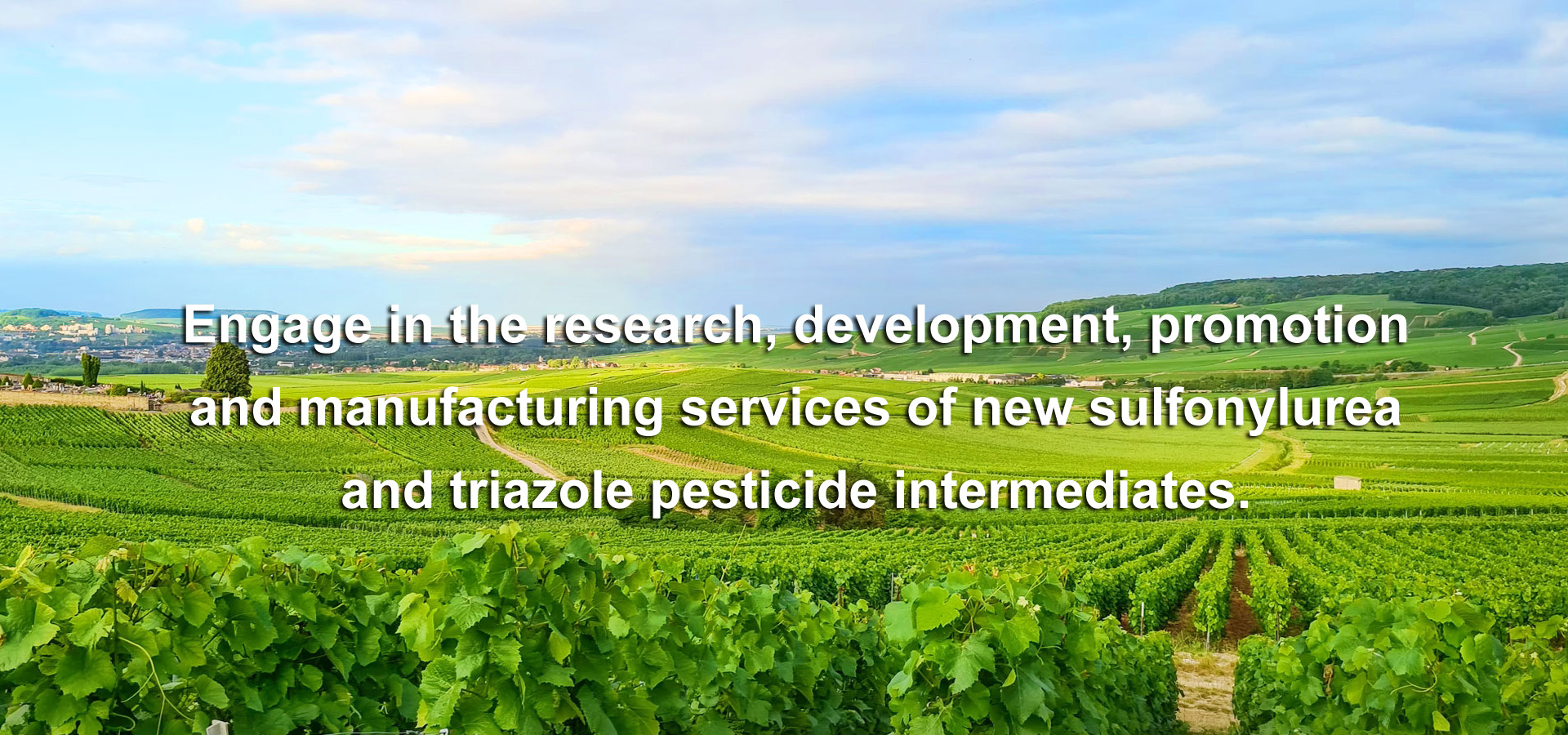 Weifang Yuanye Biotechnology Co., Ltd