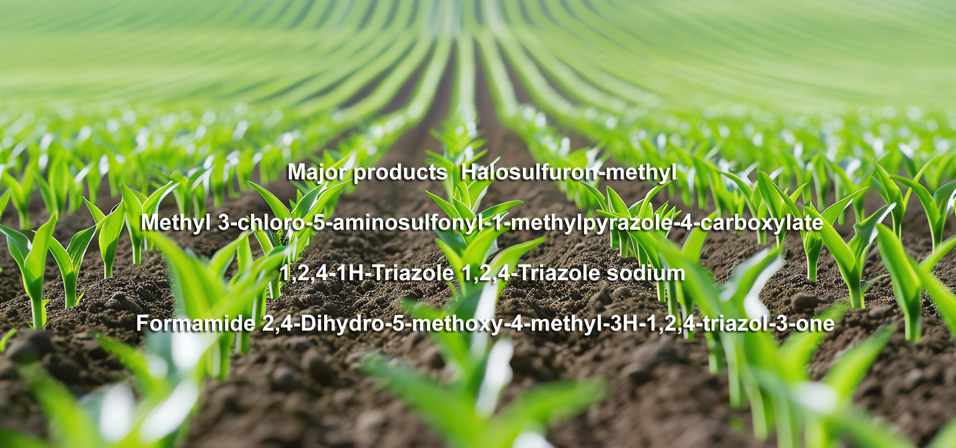 Weifang Yuanye Biotechnology Co., Ltd
