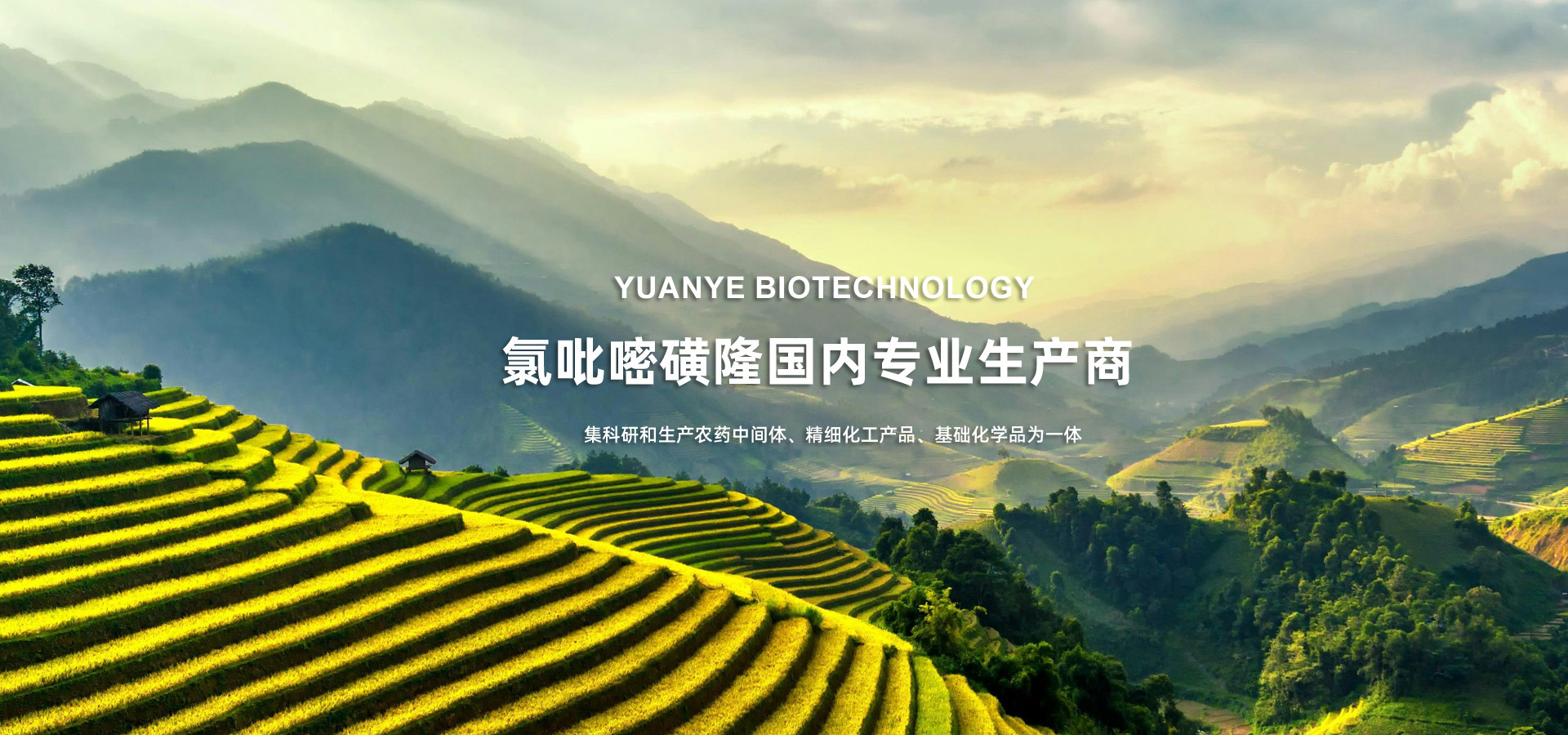 濰坊原野生物科技有限公司
